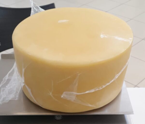 Queijo Parmesão Canastra Inteiro Grande 5KG Maturação 1 Ano - Image 4